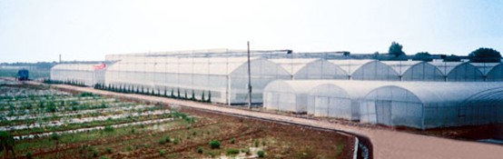 湖南省汨罗市省级农业高科技示范基地