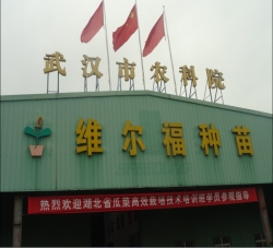 维尔富种苗公司