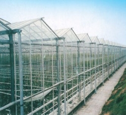 LWBRRV96型文洛式多屋面玻璃温室