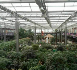 玻璃温室花园中心